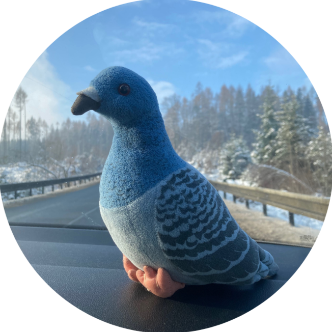 Fotka Pana Holuba Evzena